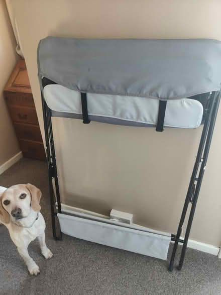 Photo of free Folding changing table (BS30) #4