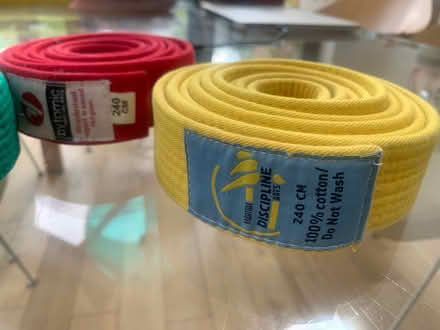 Photo of free Martial Arts Colour Belts x 4 240 cm each (Wootton OX13) #2