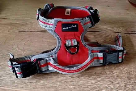 Photo of free Clean dog bed + medium harness (Trefor LL65) #1