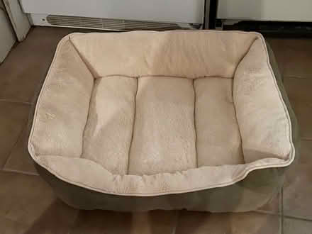 Photo of free Dog bed (Ellesmere and Orton Park) #1