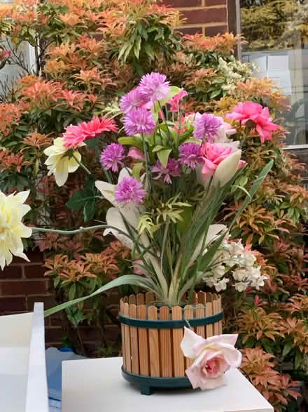 Photo of free Fibreoptic flowers (AL2 / SG6) #1