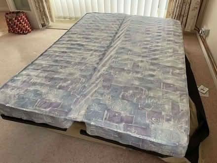 Photo of free Double sofa bed (Pembury TN2) #3