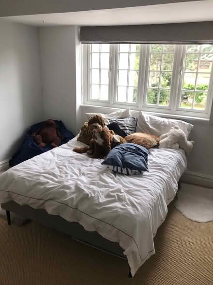 Photo of free Double bed frame and mattress (NW2 Cricklewood) #3