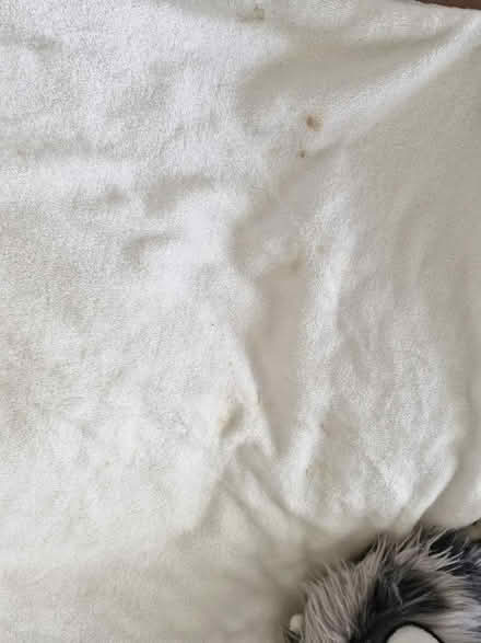 Photo of free Child's snuggle blanket (Knightsfield AL8) #2