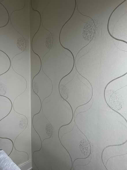 Photo of free 6 rolls of wallpaper (Primrose) #2