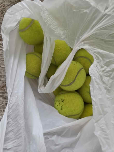 Photo of free Used tennis balls (Aldershot) #1