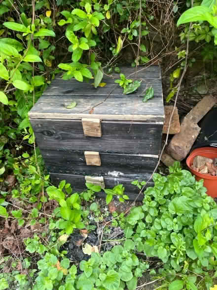 Photo of free Wormery (home made) (N16) #1