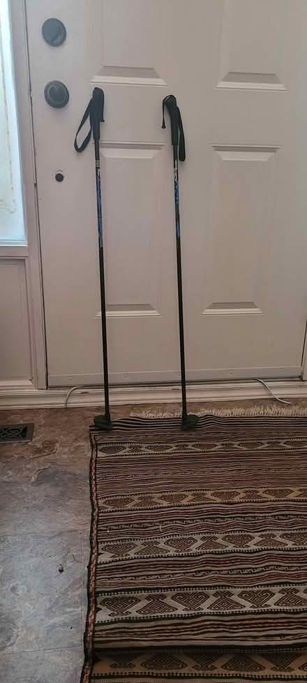 Photo of free 40" walking poles (Westboro) #1