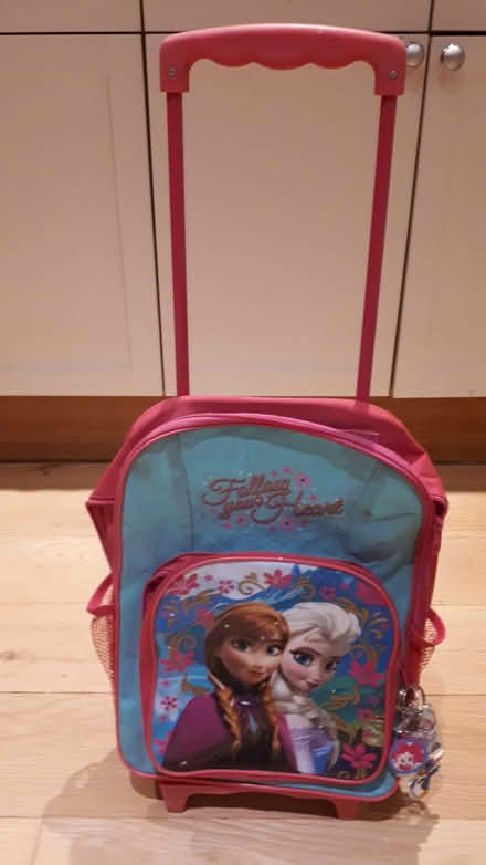 Photo of free Frozen Trolley Bag (CT2) #1