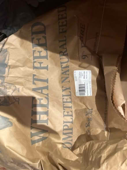 Photo of free Wheat bran (Seaside BN22) #1