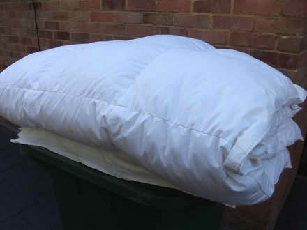 Photo of free JL Single Duvet Feather & Down 10.5 (ME16 - Allington) #3