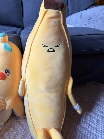 Photo of free 2 plushies (Rego Park) #2