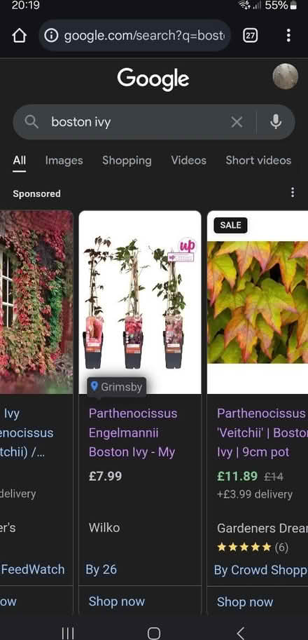 Photo of Boston ivy (HU5 Hull) #1