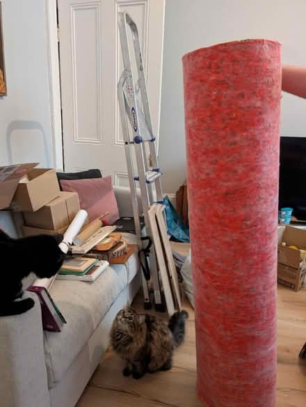 Photo of free Spare underlay (G31 Glasgow) #2