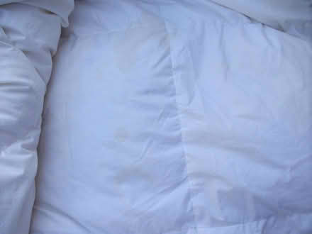 Photo of free JL Single Duvet Feather & Down 10.5 (ME16 - Allington) #4