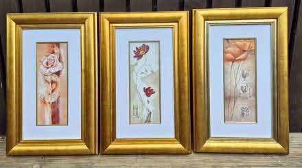 Photo of free Pictures x 3 (Mosborough Sheffield) #1