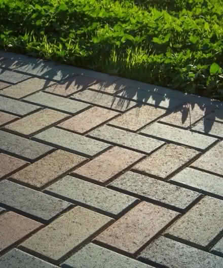 Photo of Paving blocks (Holywood BT18) #1
