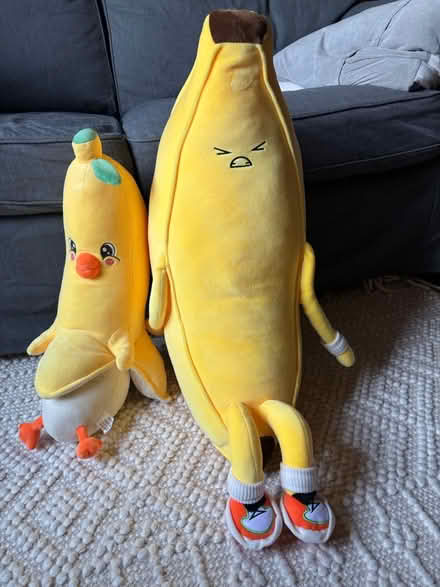 Photo of free 2 plushies (Rego Park) #1