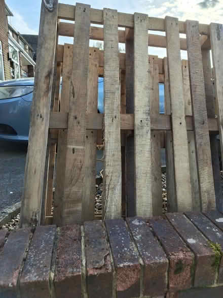 Photo of free Two wooden pallets (RG31 Tilehurst) #1