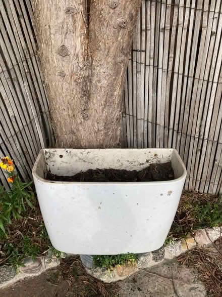 Photo of free Toilet cistern “planter” (Halifax) #2