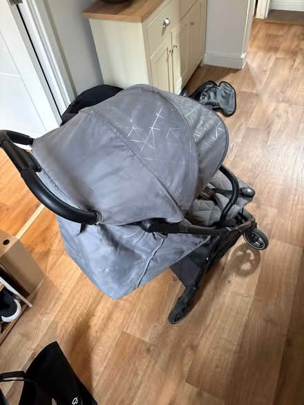 Photo of free Silver cross bug (Ponders End EN3) #2