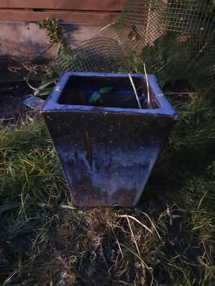 Photo of free Blue plant pot (E12 Manor park) #1
