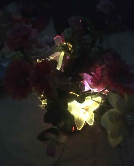 Photo of free Fibreoptic flowers (AL2 / SG6) #4