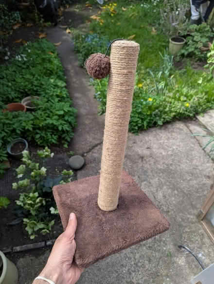 Photo of free Cat scracher tower (Osney OX2) #1