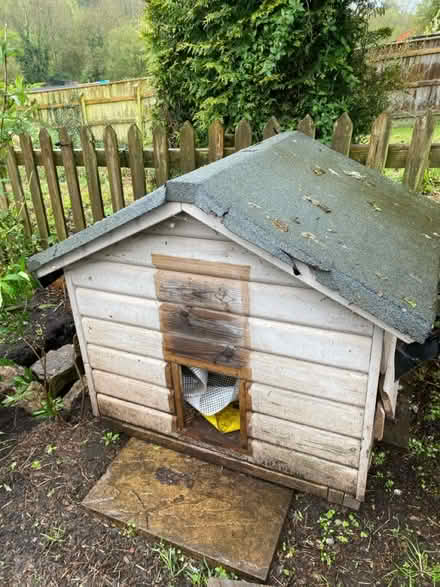 Photo of free Chicken coop/pet house (Midsomer norton) #1