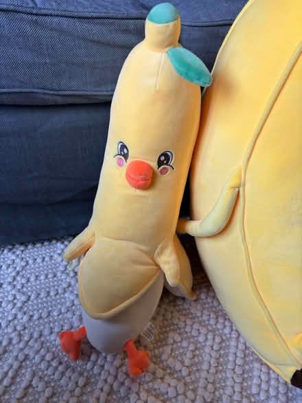 Photo of free 2 plushies (Rego Park) #3