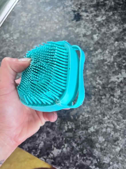 Photo of free Dog/animal wash brush (Hove) #1