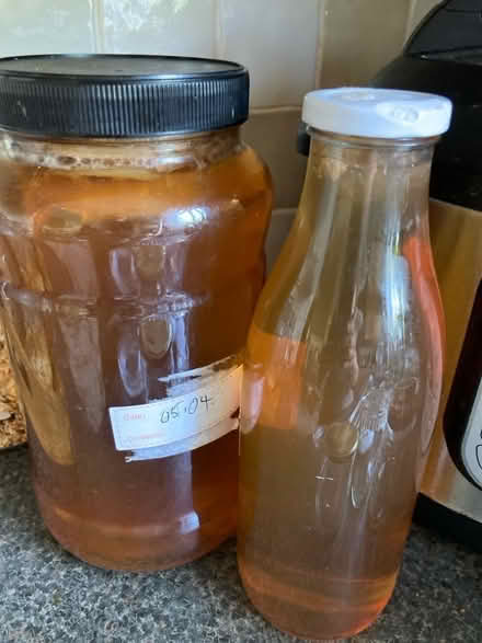 Photo of free Kombucha culture (Oxford OX3) #1