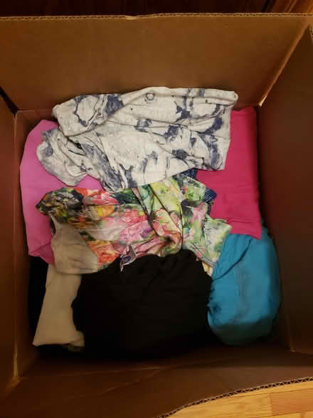 Photo of free Womens Clothes Large (Elmhurst near Berens Park) #2