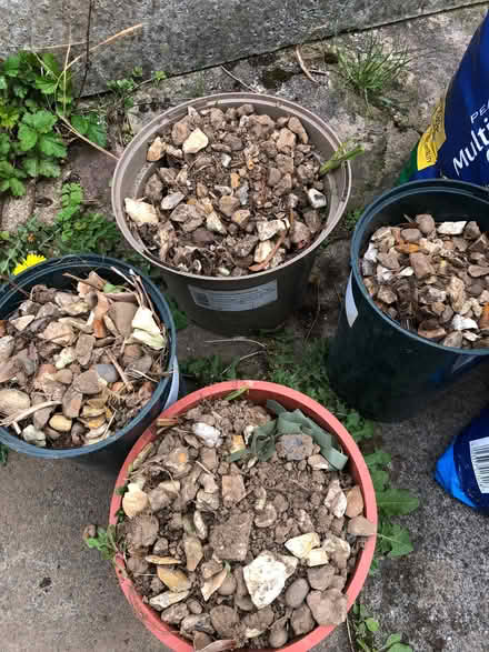 Photo of free Ornamental stones collection from Halton (Halton LA2) #2