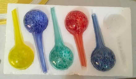 Photo of free Watering Spheres (Starbeck HG1) #2