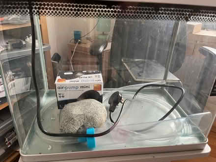 Photo of free Fish tank (Yaxley) #1