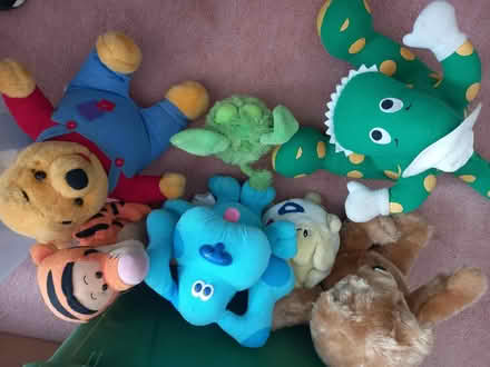 Photo of free Battery operated soft toys (Littlemore OX4) #1