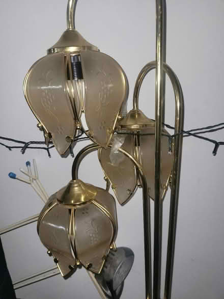 Photo of free Tall lamp (Shefford) #1