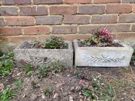 Photo of free 3 x concrete planters (Bernards Heath AL1) #3