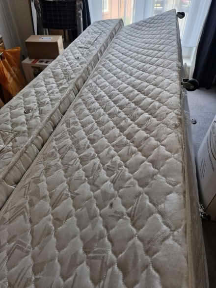 Photo of free Single bed + mattress (Seaford BN25) #1