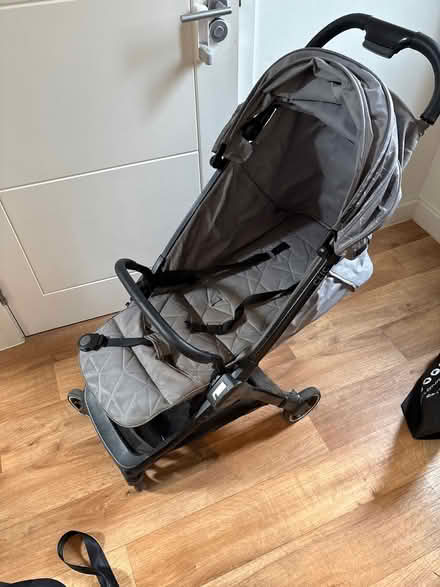 Photo of free Silver cross bug (Ponders End EN3) #1