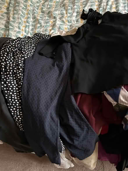 Photo of free Women’s clothes size 18 (Camberley GU15) #2