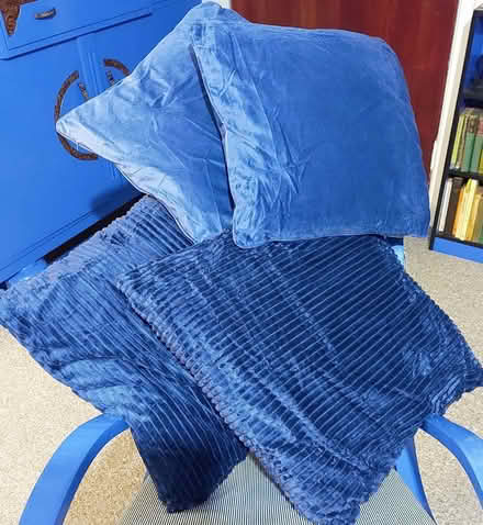 Photo of free Cushions x4 (Aigburth L17) #3
