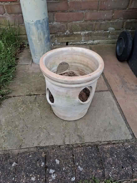 Photo of free Herb Planter - Hertford Foxholes (Foxholes SG13) #1
