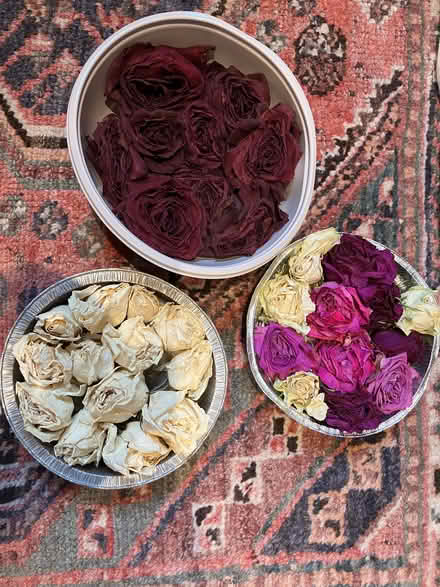 Photo of free Dried roses (Camberley GU15) #1