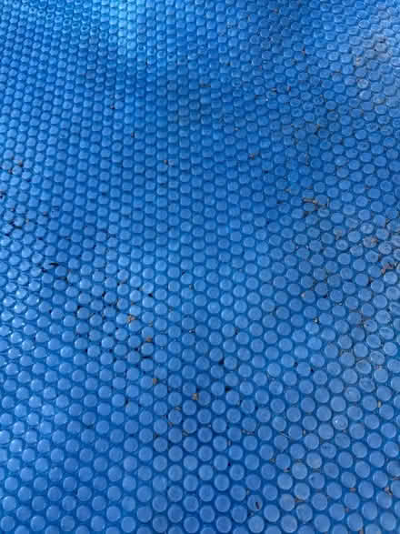 Photo of free Pool Cover Big (West Davis) #3