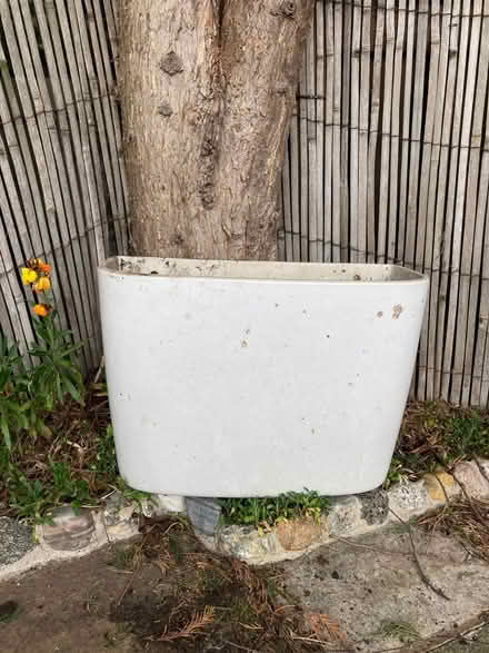 Photo of free Toilet cistern “planter” (Halifax) #1