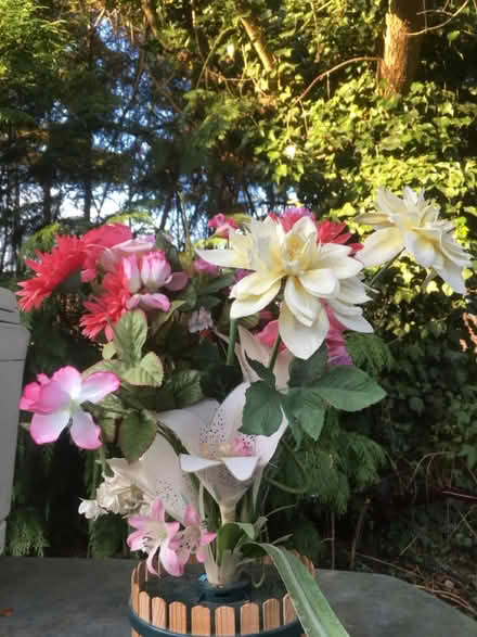 Photo of free Fibreoptic flowers (AL2 / SG6) #3