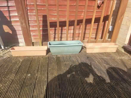 Photo of free garden clearance (Shenley Lodge MK5) #1