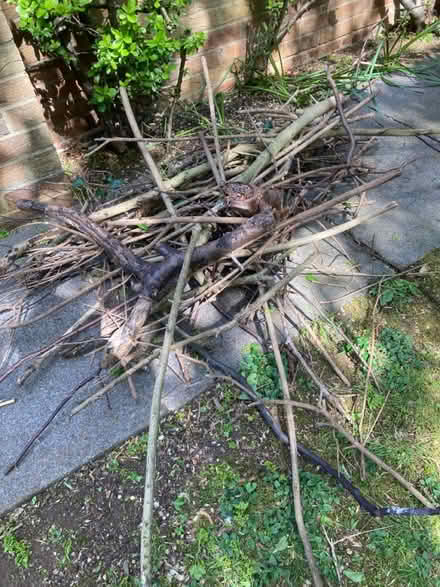 Photo of free wood - open fire / pit (NOrthampton) #1
